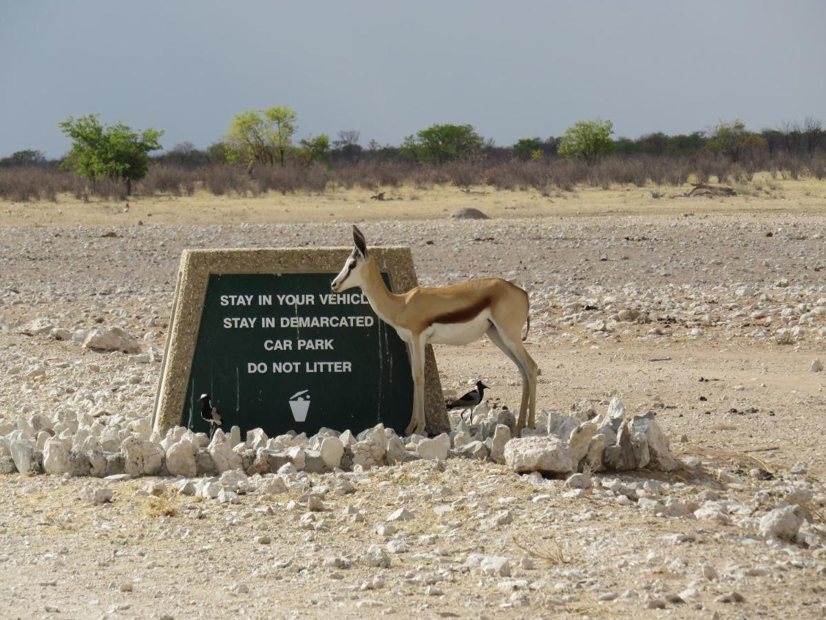 Etosha Safari Campsite Екстер'єр фото